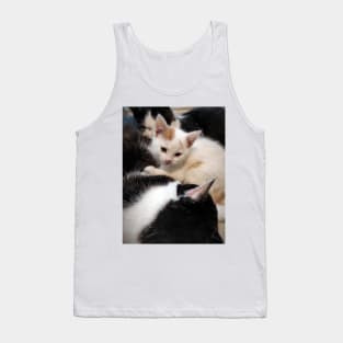 A nap with cats Tank Top